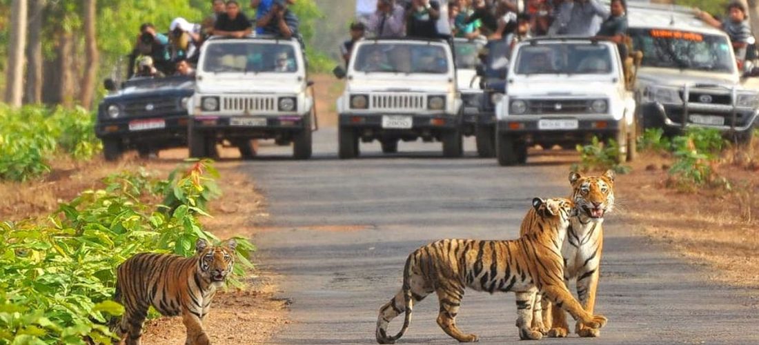 Corporate Groupe Tour, MICE, Travel Organiser in Delhi, Gurgaon, Noida