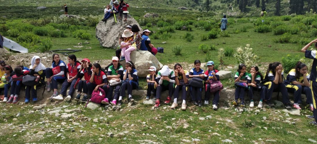 School activities and Summer camp organiser