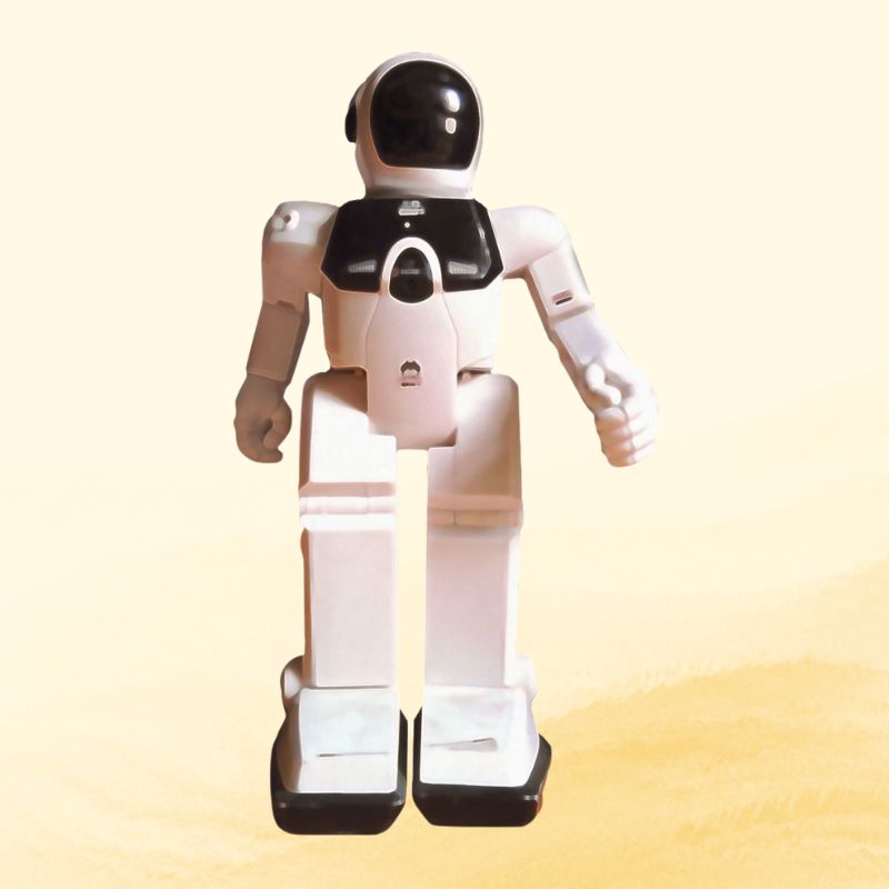 AI Humanoid Service Robot