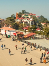 Shimla