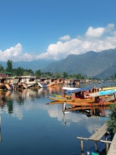 Srinagar