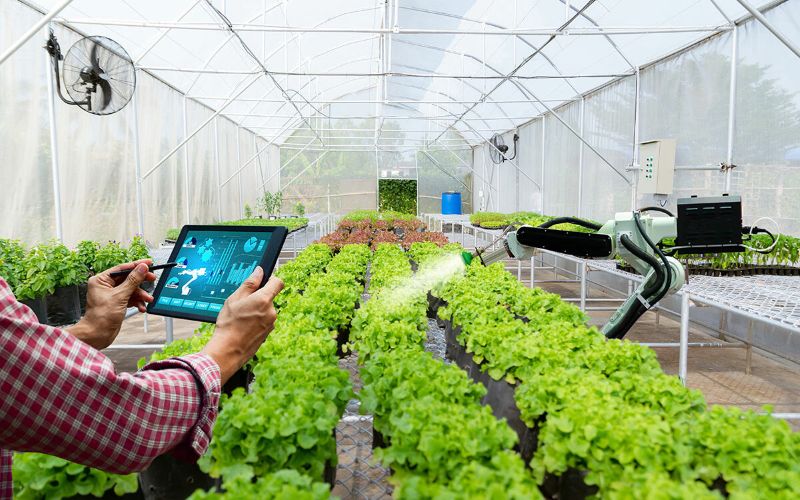 Green Setup and Modern Tech We Use