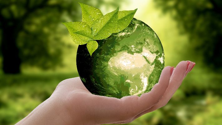 Branding That Talks About Your Eco Vision