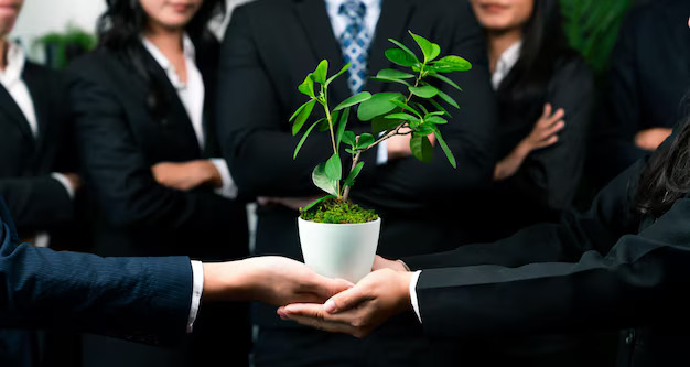 We Organise Plant Inauguration for All Sectors