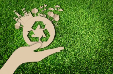 Sustainability & Green Events