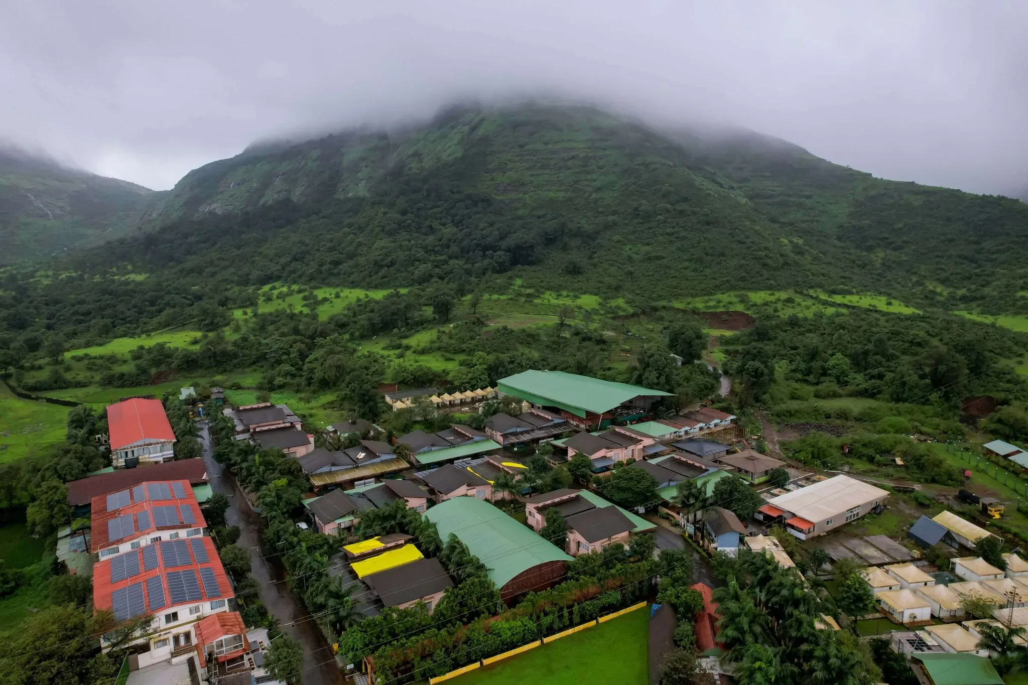 Rainforest Resort