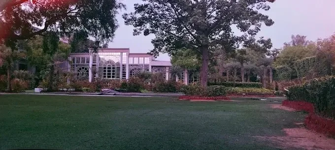 Cinderella Farms 