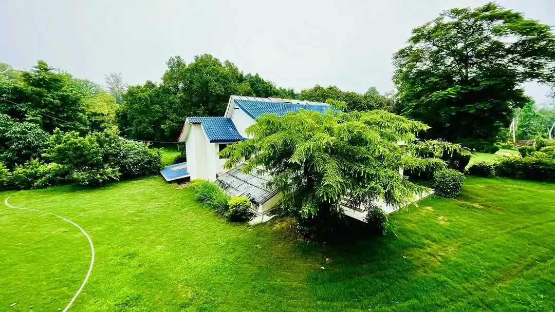 Nagpal Farms 