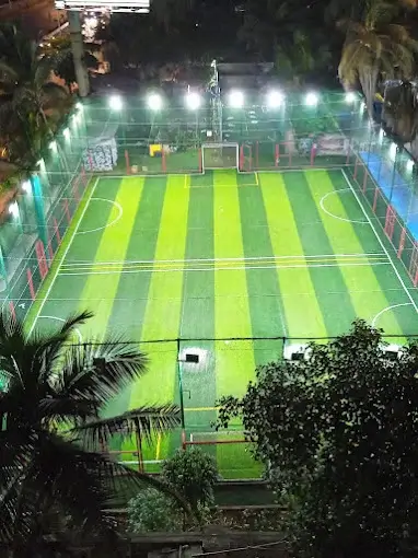 NSCI AstroTurf