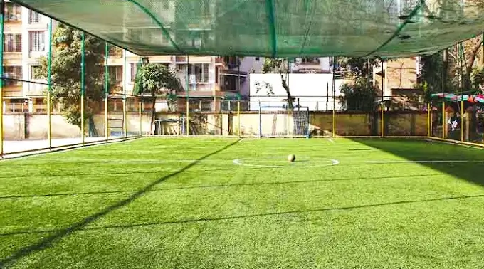  Thakur Shyamnarayan Turf