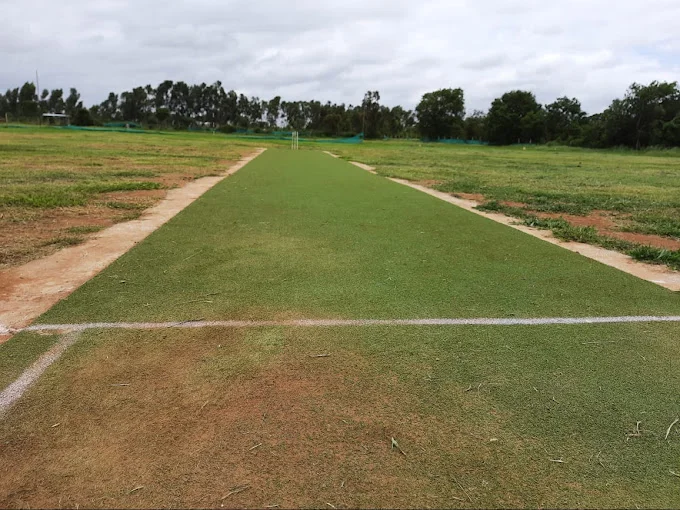 UCG Astroturf Cricket Ground 2